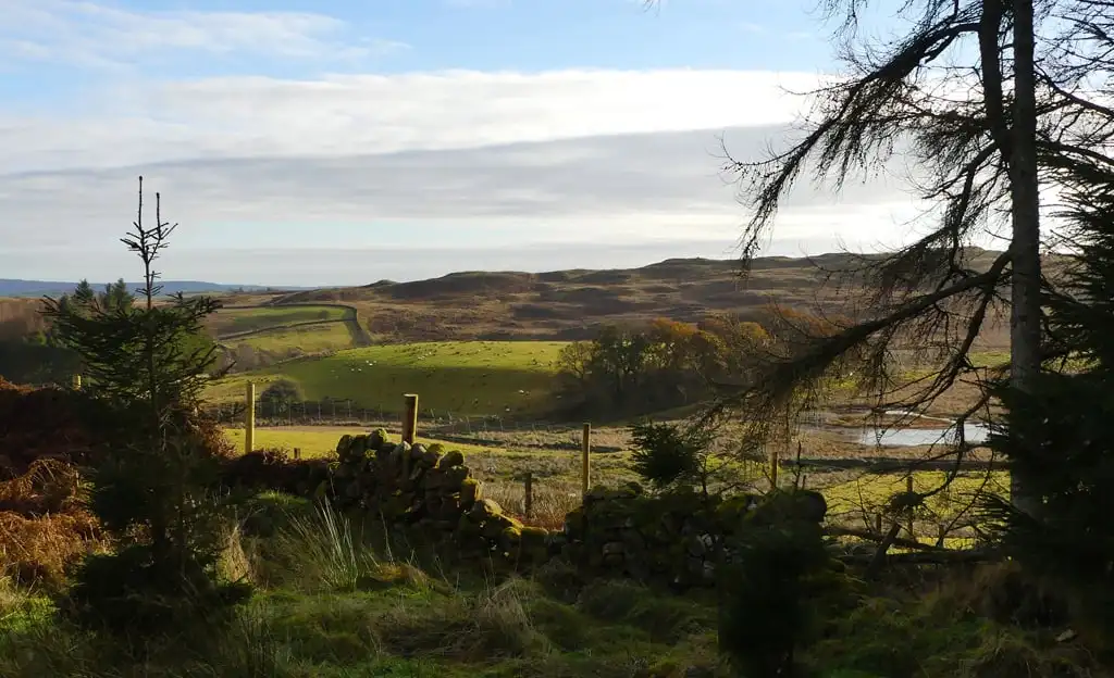 chasse-becasse-ecosse