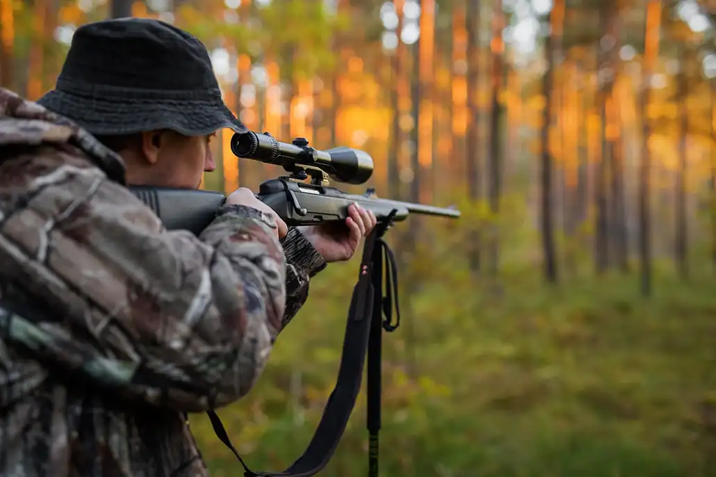 La chasse à l'approche ou au pirsch