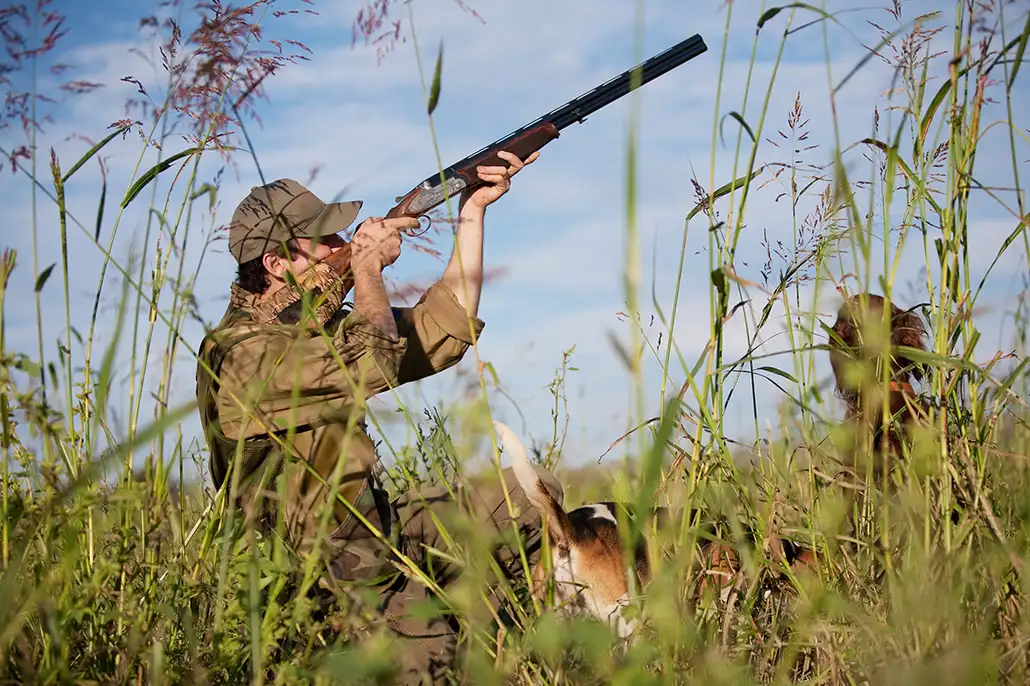 fusil de chasse superposé