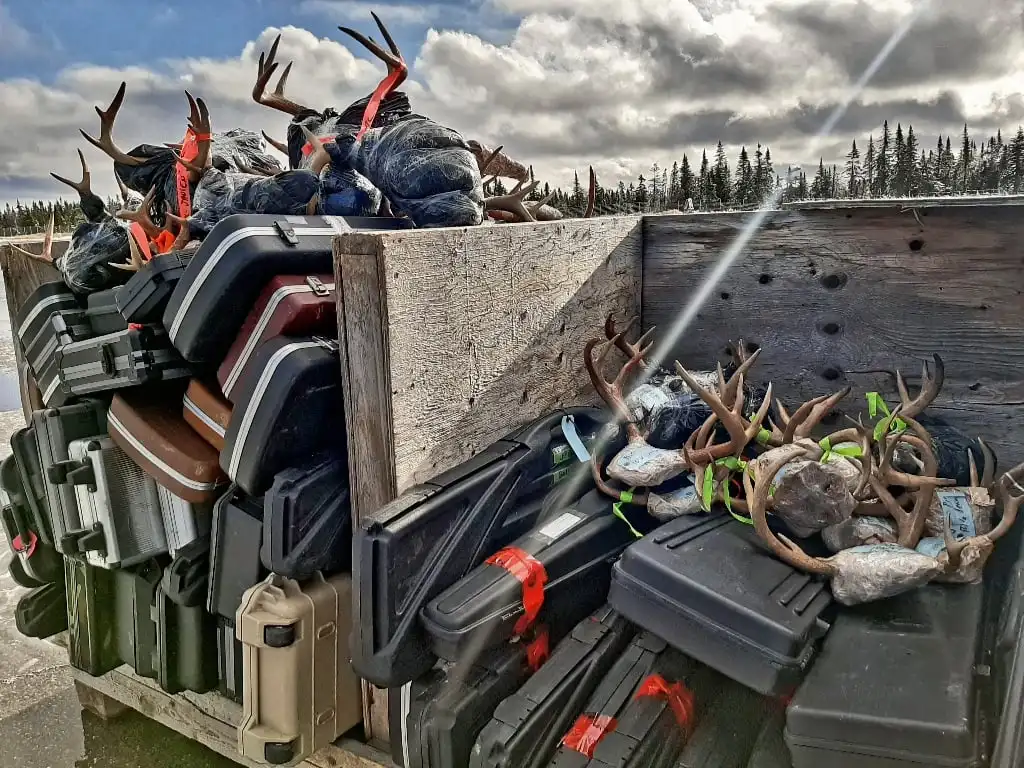 Voyage de chasse, comment l’organiser?