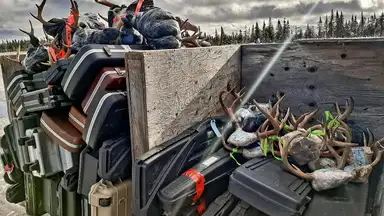 Voyage de chasse
