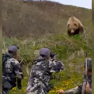 chasseurs vs ours