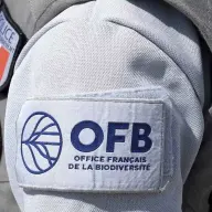 Cyberattaque à l’OFB : l’établissement a officiellement reconnu un nouveau piratage