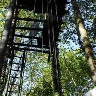 Un chasseur touché par un tir de son fils dans une palombière de Dordogne