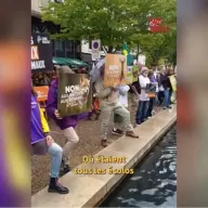 animalistes perigueux