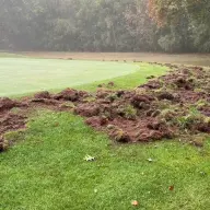 golf saint quentin mesnil