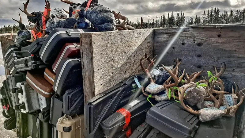 Voyage de chasse, comment l’organiser?