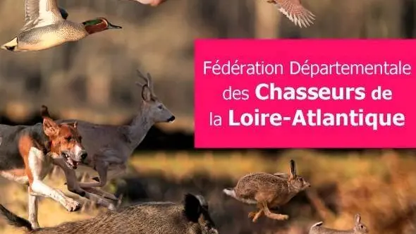 Loire-Atlantique : LPO, ONE VOICE et l’ASPAS condamnées à payer 2000€ à la Fédération des Chasseurs