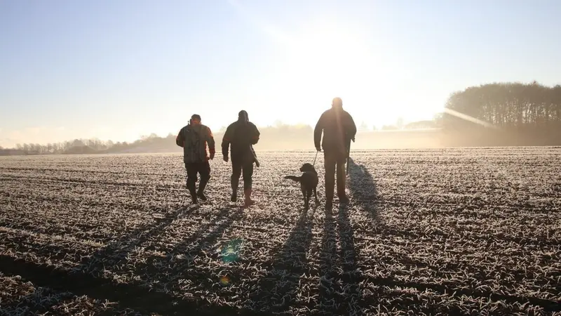 Les chasseurs du Tarn se mobilisent pour aider leurs collègues Landais