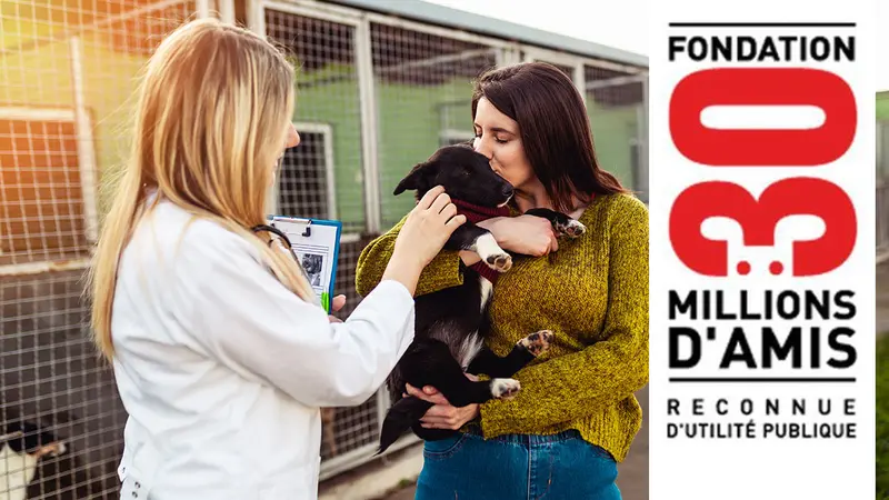 La fondation « 30 Millions d’amis » dans la tourmente