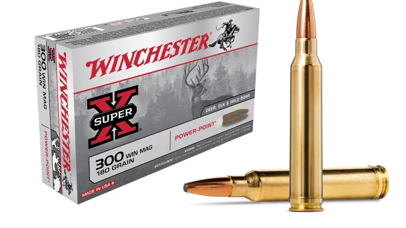 Le 300 winchester magnum : une success story