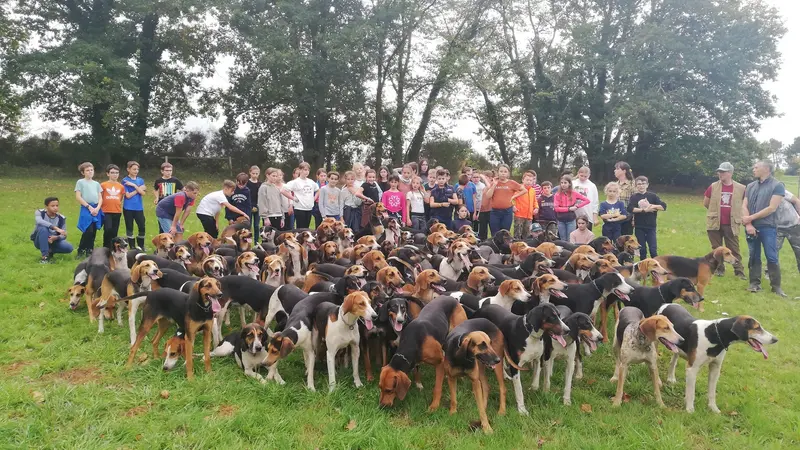 50 élèves ont participé à une journée pour rencontrer les chasseurs dans le Maine-et-Loire
