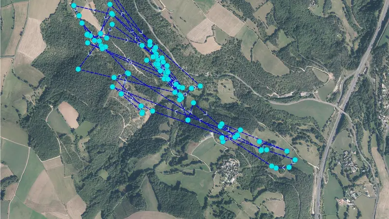 Aveyron : les cervidés suivis à l’aide de colliers GPS