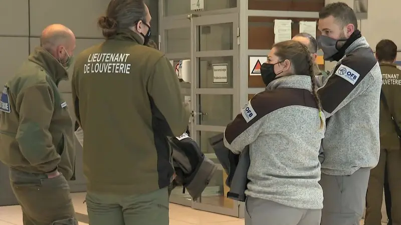 Alpes-Maritimes : l’agresseur d’un louvetier lourdement condamné