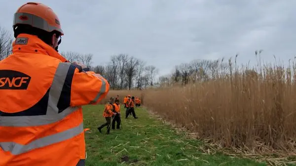 500 chasseurs participent à une battue d’envergure
