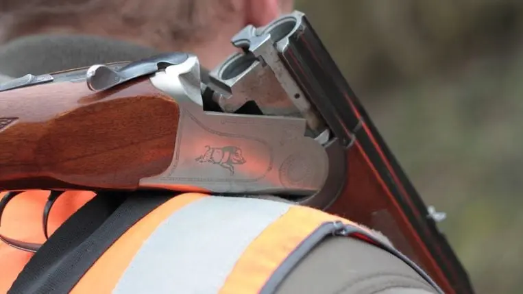 La chasse se porte bien en Belgique !