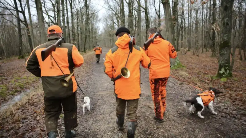 Sécheresse et incendies : au moins 23 départements ont restreint la chasse cet été, sans moratoire national