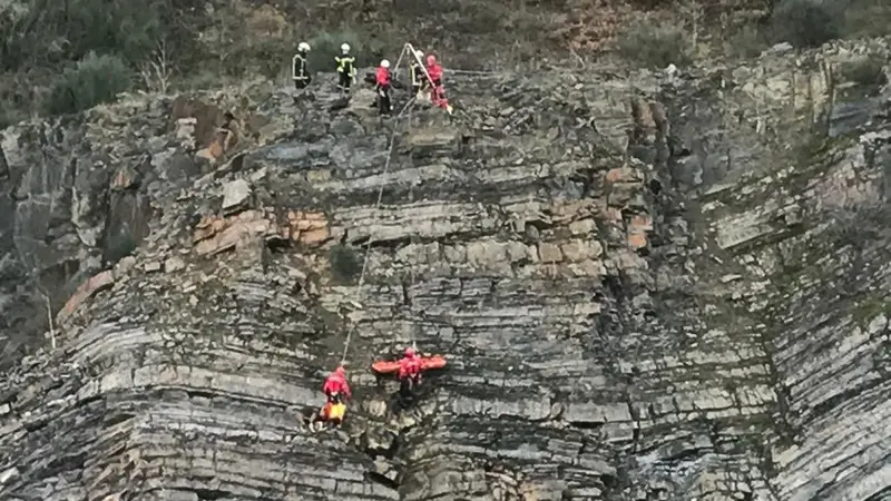 2 chiens de chasse sauvés par les pompiers
