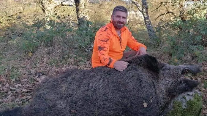 Un sanglier record de 174 kg prélevé en Aveyron