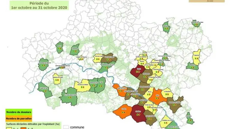 Loiret : un système d’alerte mensuel des dégâts de gibier
