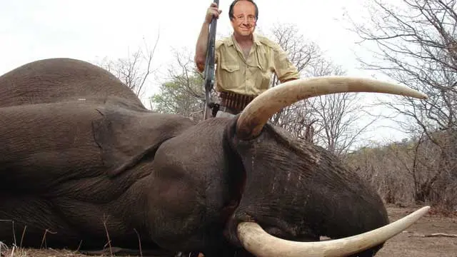 Les photos du safari de Hollande au Zimbabwe