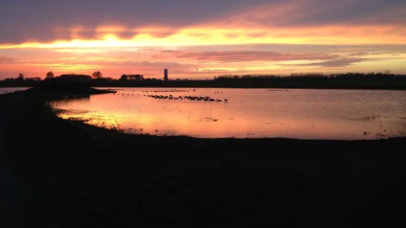 Un appelant atteint de la grippe aviaire dans le Pas-de-Calais