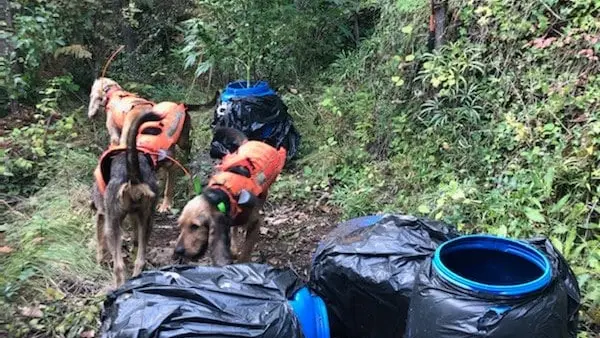 Gard : les chasseurs découvrent une installation de culture de cannabis