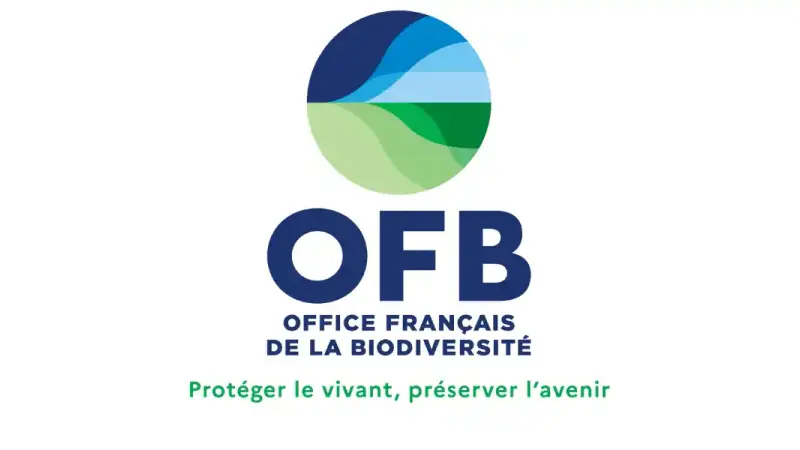 Logo-OFB