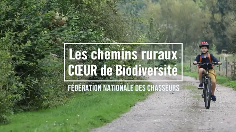 Ekosentia, un projet de réhabilitation et d’entretien des chemins ruraux