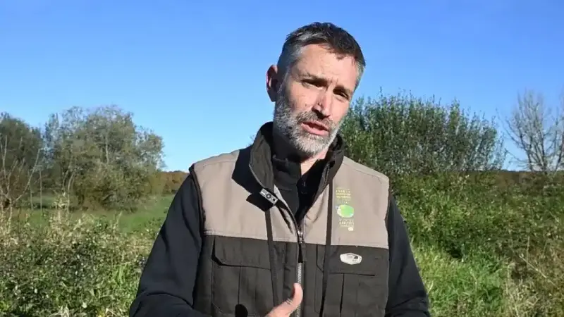 Regis Hargues