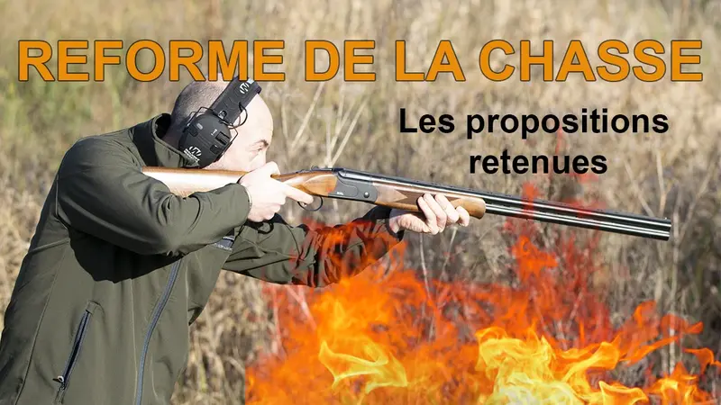réforme de la chasse