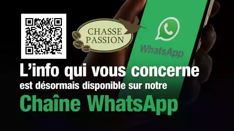 Chasse Passion lance la 1ere chaîne d’info chasse sur WhatsApp