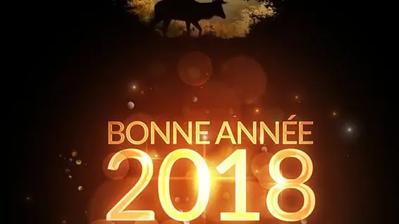 Bonne année 2018 à tous les membres de Chasse Passion !