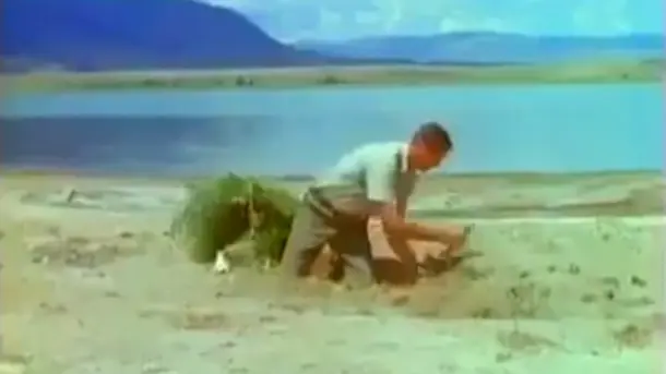 Sans-titre-4