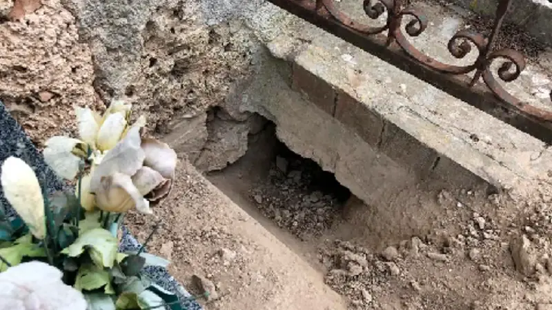 Villecroze : un terrier de renard creusé sous une tombe