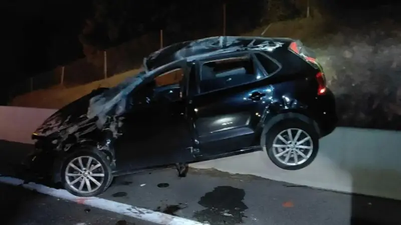 accident sanglier le cannet