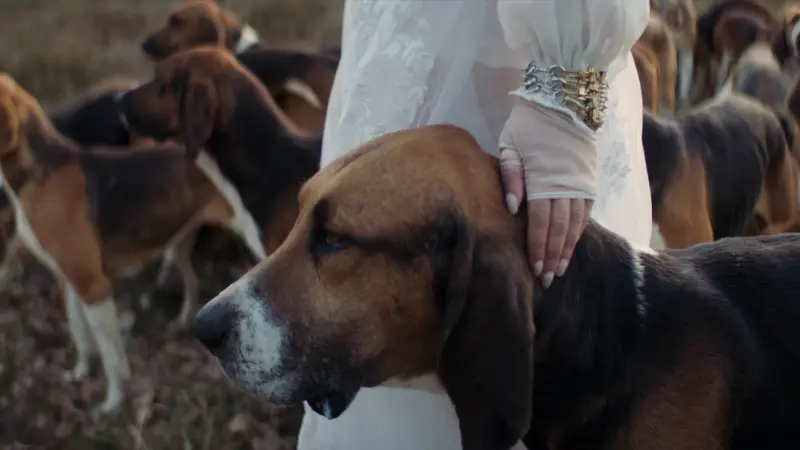 Joanna, la chanteuse qui a tourné son clip avec les chiens du Rallye Fontainebleau