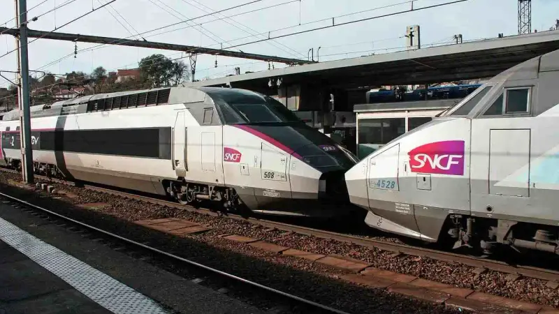 TGV-sanglier