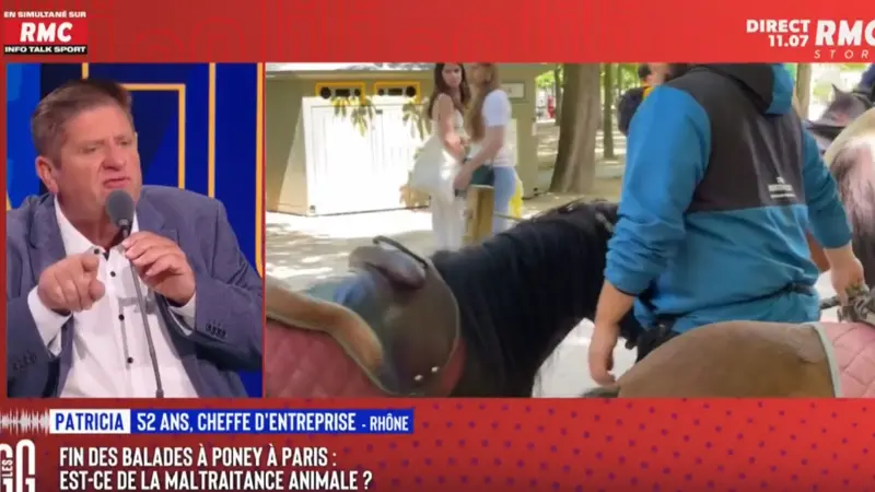 Willy Schraen pris à partie sur RMC : « Vous êtes chasseur donc vous ne pouvez pas comprendre la souffrance animale »