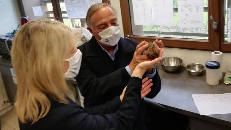 Bérangère Abba annonce une aide d’urgence aux centres de soins faune sauvage avec ABD