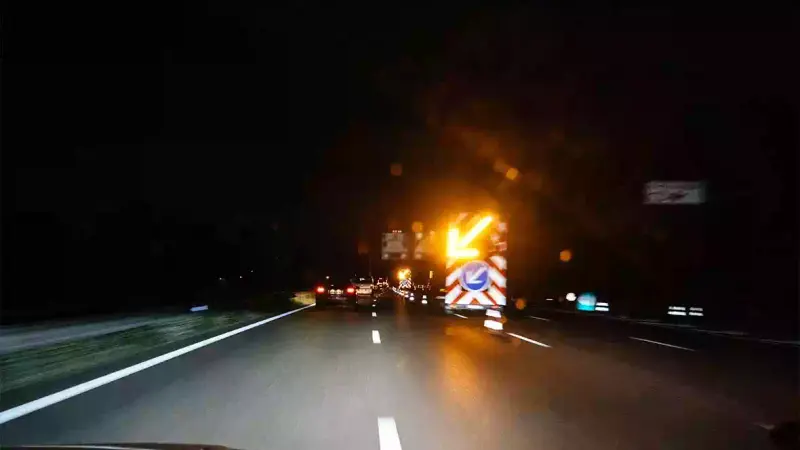 A64 : une voiture (épave) percute et tue 9 sangliers