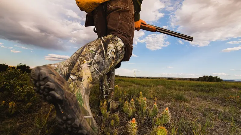 4 accidents de chasse dans le week-end, stop !