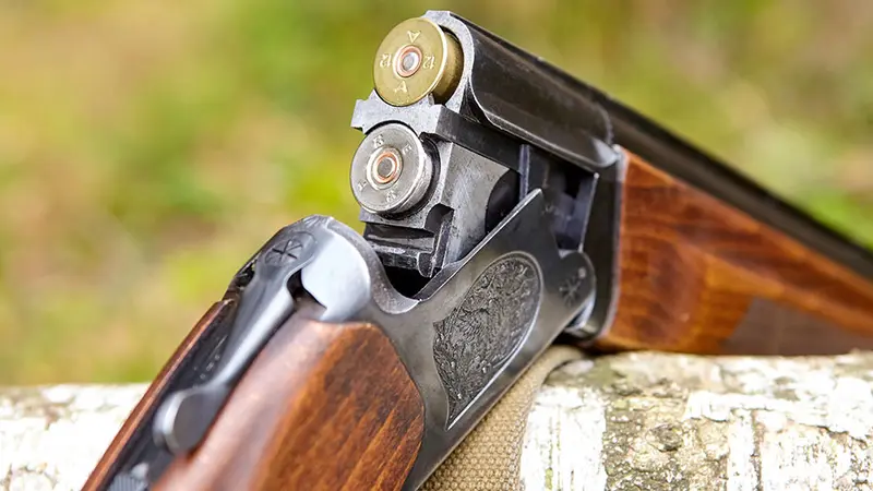 Accident de chasse : tireur et chefs de lignes condamnés