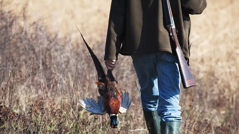Un chasseur de 85 ans se blesse avec son arme