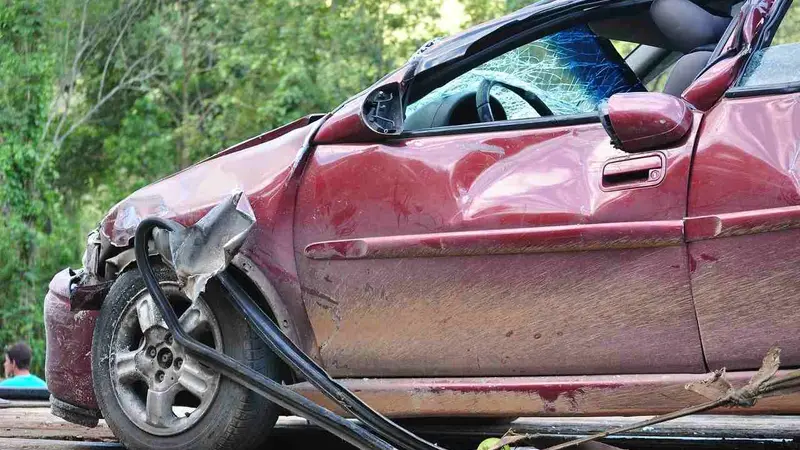 accident grand gibier