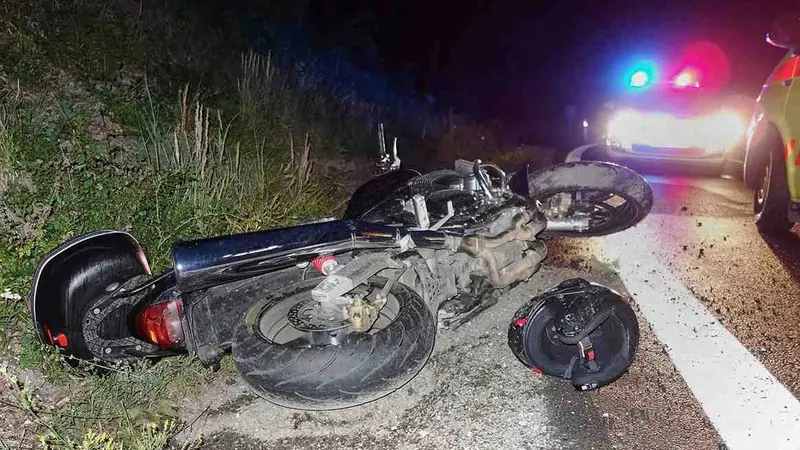 accident-moto-sanglier-compressed