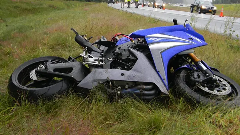 Un motard indemnisé de 400 000€ à la suite d’une collision avec des sangliers sur l’autoroute