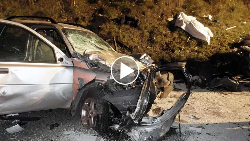 Vidéo choc : un véhicule percute et tue 9 sangliers dans le Var