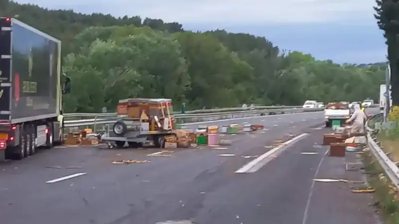 accident ruches