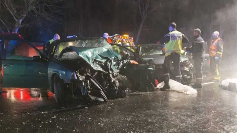 Collision mortelle entre une voiture et sanglier en forêt de Fontainebleau.